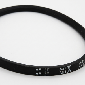 Correa A-813E