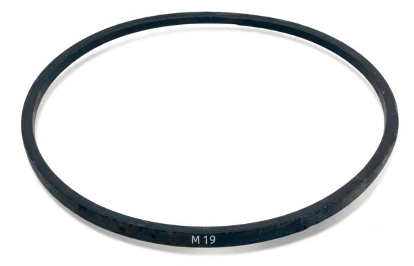 Correa M-19